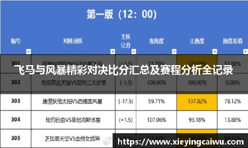 飞马与风暴精彩对决比分汇总及赛程分析全记录