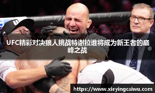 UFC精彩对决狼人挑战特谢拉谁将成为新王者的巅峰之战