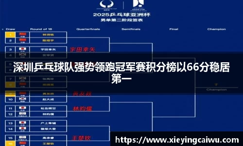 深圳乒乓球队强势领跑冠军赛积分榜以66分稳居第一