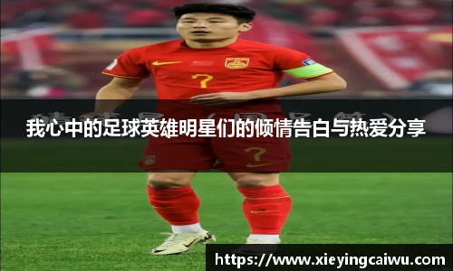 我心中的足球英雄明星们的倾情告白与热爱分享