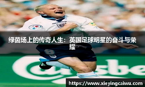 绿茵场上的传奇人生：英国足球明星的奋斗与荣耀