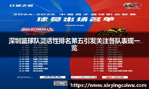 深圳篮球队灵活性排名第五引发关注各队表现一览