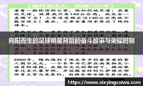 向阳而生的足球明星背后的奋斗故事与荣耀时刻