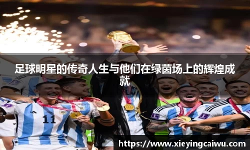 足球明星的传奇人生与他们在绿茵场上的辉煌成就